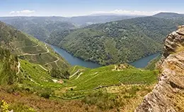 Descubrimiento del Valle del Duero y sus viñedos