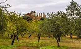 Exploración del Valle del Loira