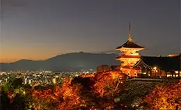 Libertad para explorar los tesoros de Kyoto a tu ritmo