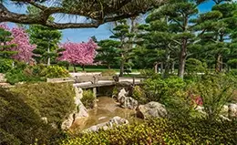 Descubrimiento del parque Kenroku-en, un jardín de ensueño.