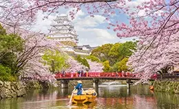 Inspección del castillo de Himeji