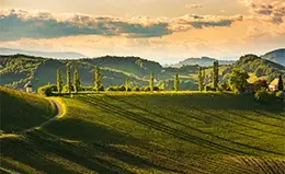 Viaje a la pintoresca Toscana
