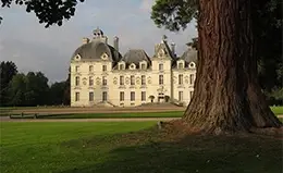 Visita al elegante Castillo de Cheverny