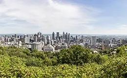 Visita el Parc Mont Royal en Montreal