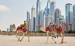 Día libre para explorar Dubai a tu ritmo.