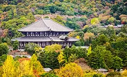 Encuentro con el Buda gigante en Todaiji, Nara
