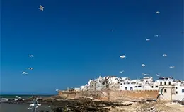Explora la artística ciudad de Essaouira.