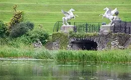 Explora los jardines de Powerscourt, los más bellos de Irlanda.