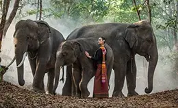 Interactúa con elefantes en un santuario dedicado a su bienestar