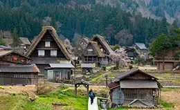 Visita a las encantadoras casas Gassho-Zukuri en Shirakawago.