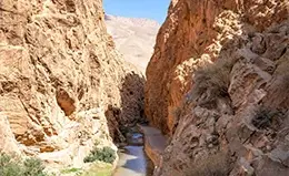 Visita a las gargantas del Todra