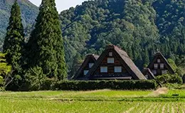 Visita a Shirakawa-go, un pueblo de cuento de hadas.