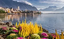 Almuerzo y gira a través de la pintoresca Ginebra.