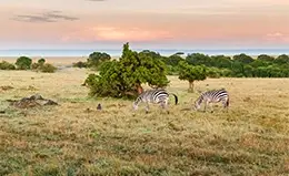 Cruce de frontera hacia Tanzania