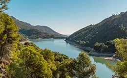 Explora la bulliciosa urbe marítima de Alicante.