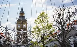 Recorrido a los íconos de Londres.