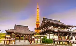 Visita a la emblemática Torre de Tokyo.