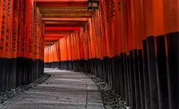 Visita al Santuario Fushimi Inari y el Pabellón de Oro.
