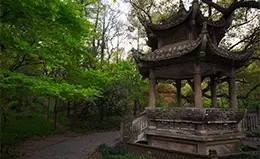 Visita al Templo de Las Almas Escondidas