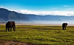 Cruce del área de conservación del cráter de Ngorongoro