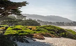 Descubre la elegancia y el arte de Carmel.