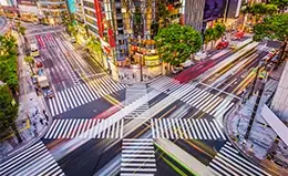 Explora el lujo y la modernidad en el distrito de Ginza.