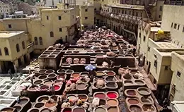 Explora los vibrantes zocos de Fez