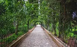 Pasee por los jardines del Generalife, un oasis de calma.