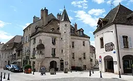 Camina por Beaune y visita a sus viñedos y museo del vino.