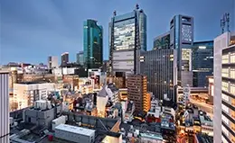 Tiempo libre para explorar Tokyo a tu propio ritmo