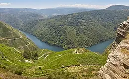 Admira los viñedos del Valle del Duero, cuna del Vino de Oporto.