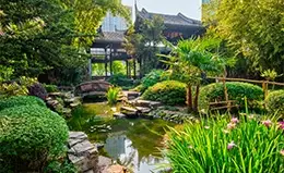 Descubre la serenidad del Jardín Yuyuan, un tesoro del siglo XVI.