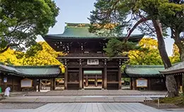 Visita al santuario Meiji Jingu, un símbolo de la espiritualidad japonesa