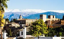 Explora la belleza de la historia