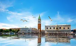 Explora la Plaza de San Marcos en Venecia.