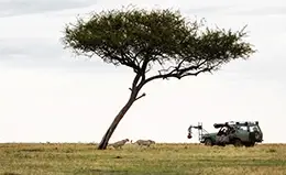 Safari en el Serengeti