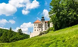 Visita panorámica de la histórica Cracovia.