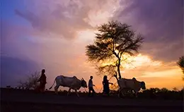 Despedida de Tanzania