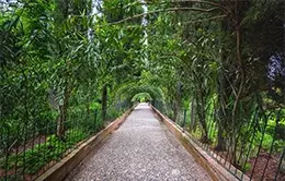 Pasea por la Alhambra y los jardines del Generalife en Granada