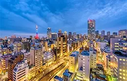 Recibimiento cálido en Tokyo con asistencia en español.