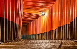 Caminata por el místico Santuario Fushimi Inari.