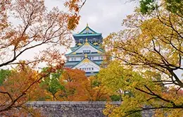 Visita al impresionante Castillo de Osaka.