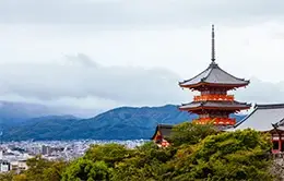 Visita al Templo Zojoji y cruzando Shibuya