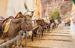 Paseo por las encantadoras calles de Thira