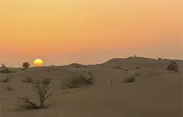 Safari en el desierto con atardecer mágico
