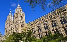 Visita al Museo Británico