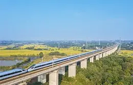 Experiencia en tren de alta velocidad a Xian