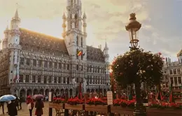 Visita panorámica de Bruselas, incluyendo la Grand Place