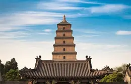 Exploración de la Pagoda de la Oca Silvestre