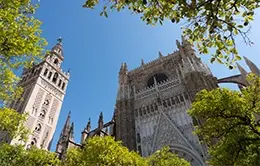Visita a la catedral y la Giralda de Sevilla